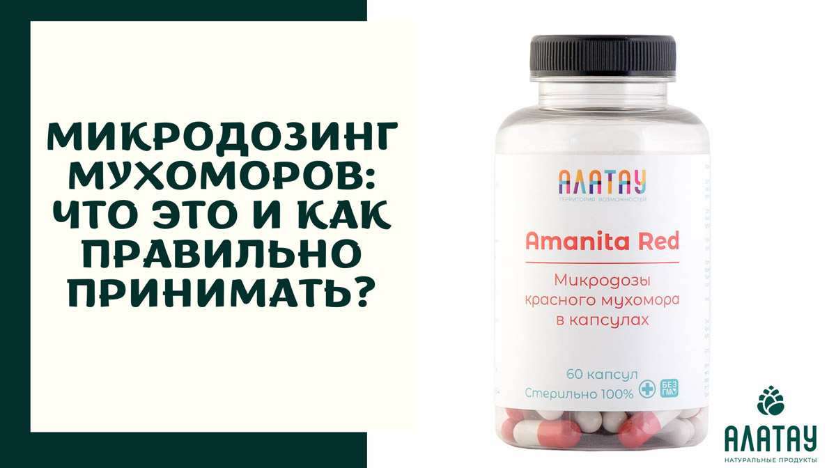 Микродозинг мухоморов в России: ядовитый гриб набирает популярность