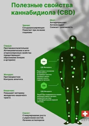 CBD масло 20%, КБД изолят, каннабидиол 6000 mg, конопляное HEMP SEED OIL, 30 ml CBD масло 20%, КБД изолят, каннабидиол 6000 mg, конопляное HEMP SEED OIL, 30 ml
