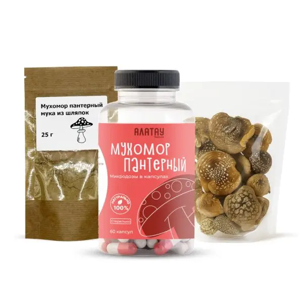 Комбо набор Пантерный 3в1: микродозинг из мухомора, сушеные шляпки и мука из шляпок Комбо набор Пантерный 3в1: микродозинг из мухомора, сушеные шляпки и мука из шляпок